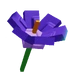 Crocus