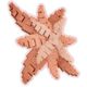 Hinomai