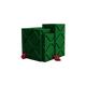 Raspberry